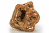 Polished Banded Crowley Ridge Agate - Arkansas #314769-2